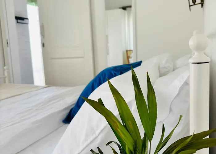 Sadele Hacimemis ホームステイ Çeşme